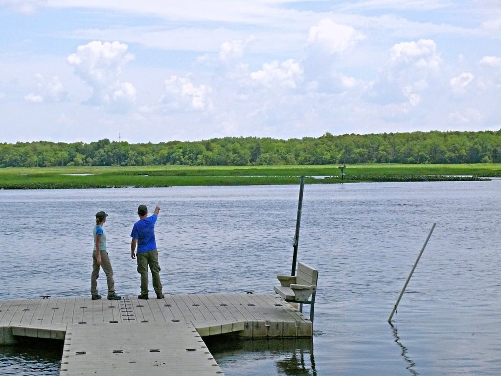 Maurice River Bluffs Preserve