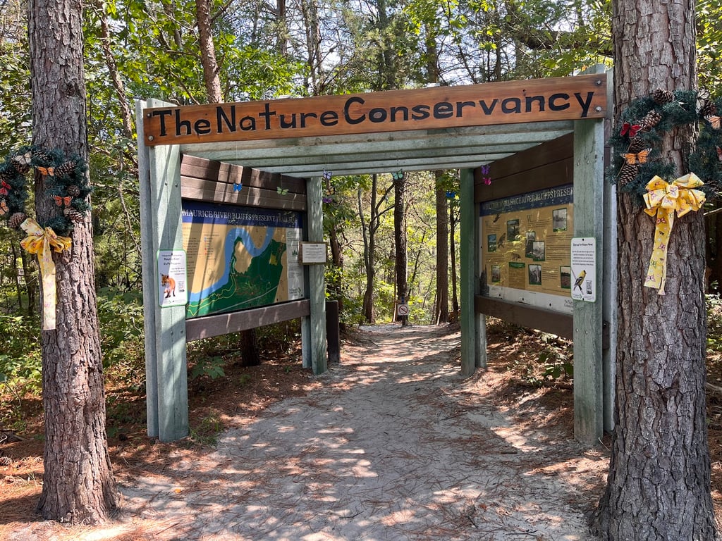 Maurice River Bluffs Preserve