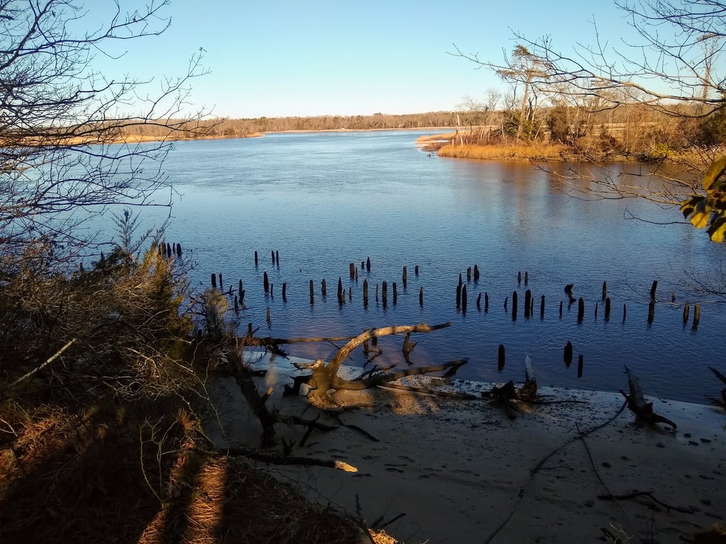 Maurice River Bluffs Preserve