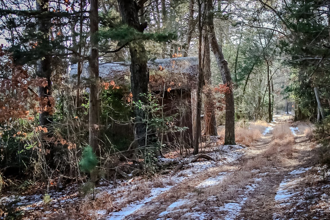Maurice River Bluffs Preserve