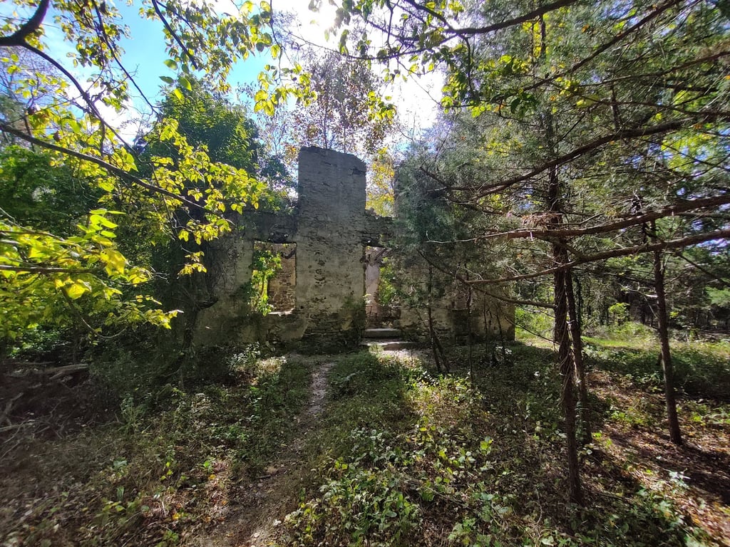 Maurice River Bluffs Preserve
