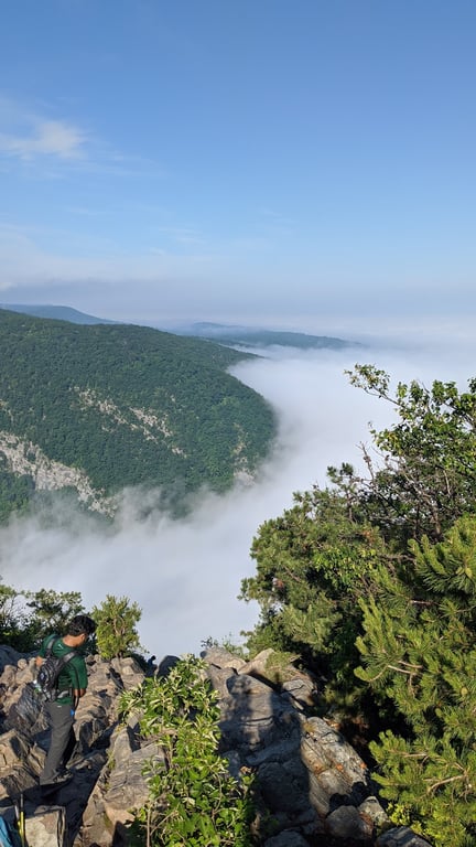 Mount Tammany