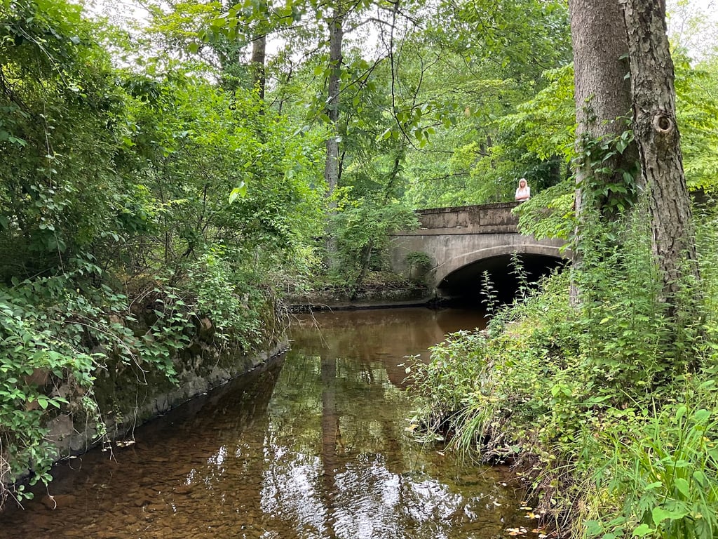 Natirar Park