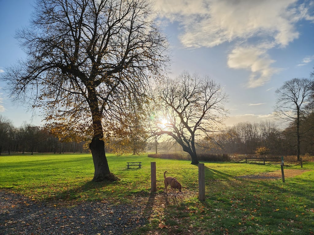 Natirar Park