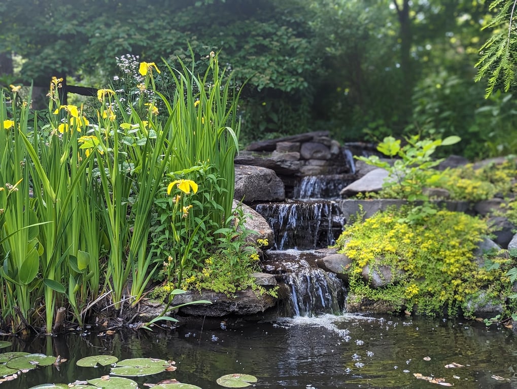 Reeves-Reed Arboretum
