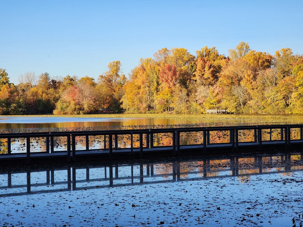 Smithville Park