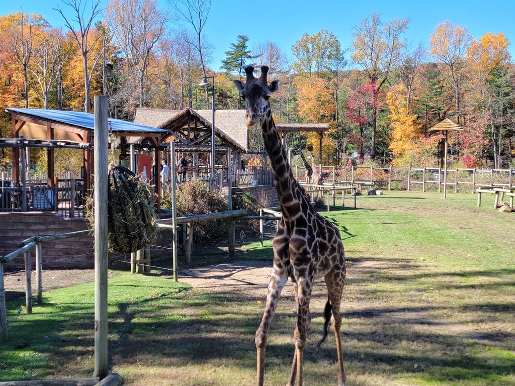 South Mountain Reservation
