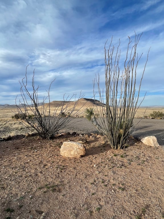 City of Rocks State Park