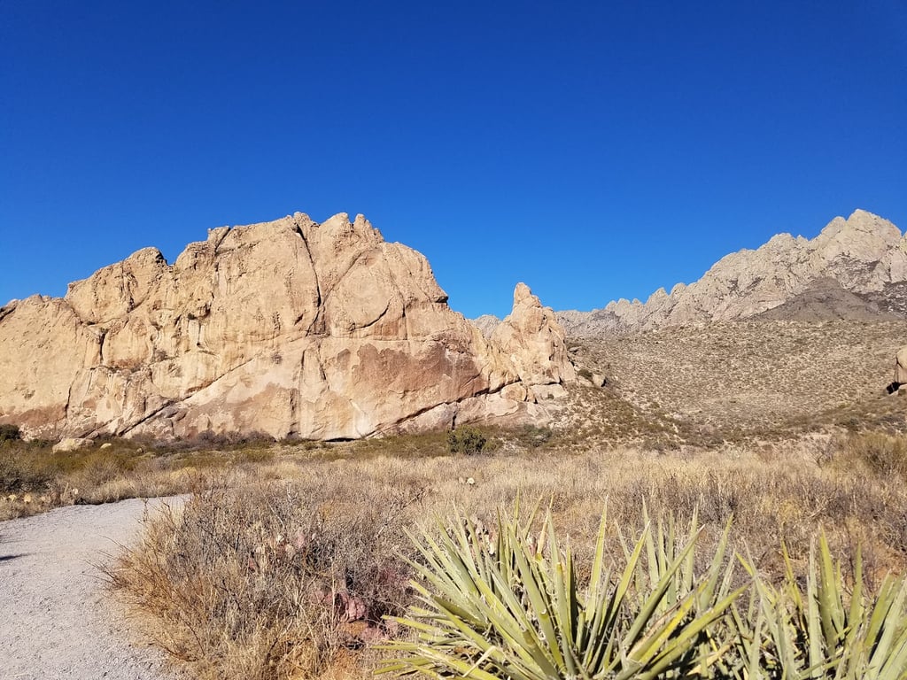 Dripping Springs Natural Area