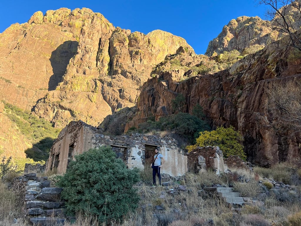 Organ Mountains Sunset