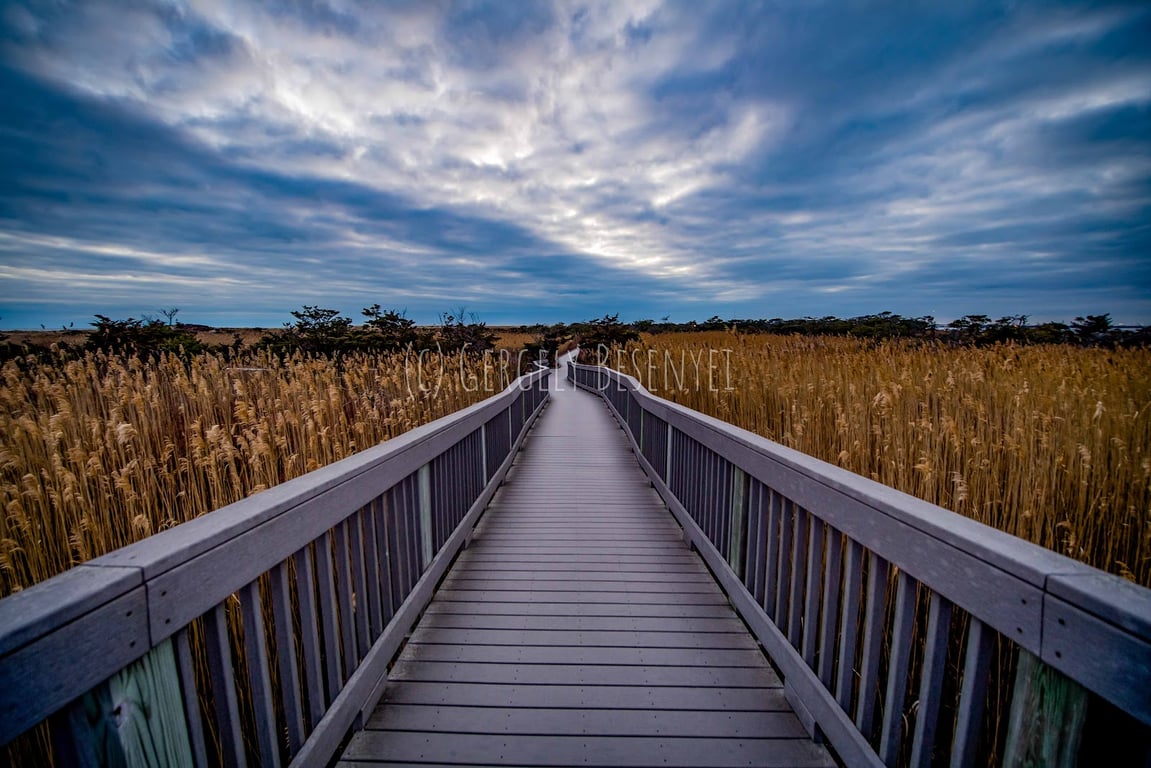 Fire Island Lighthouse