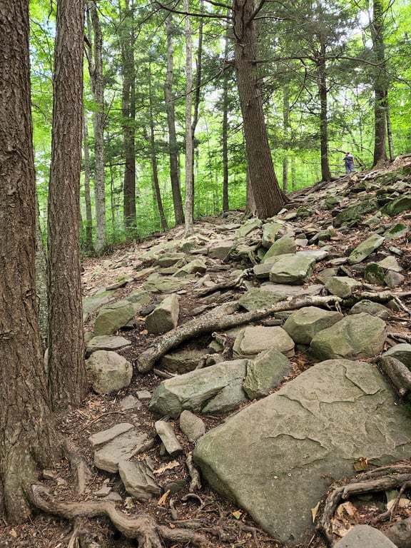 Giant Ledge