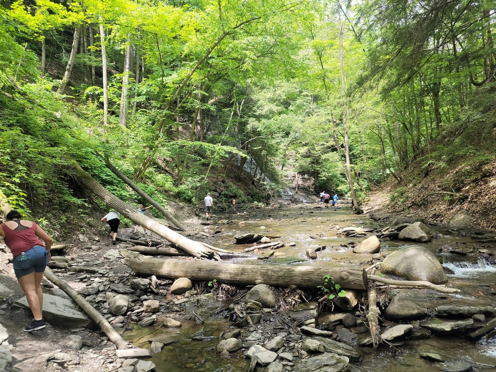 Grimes Glen Park