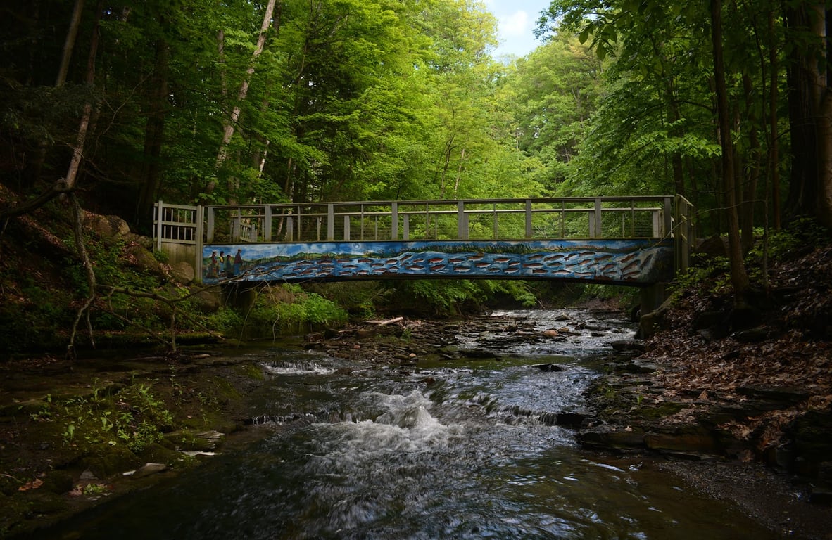 Grimes Glen Park