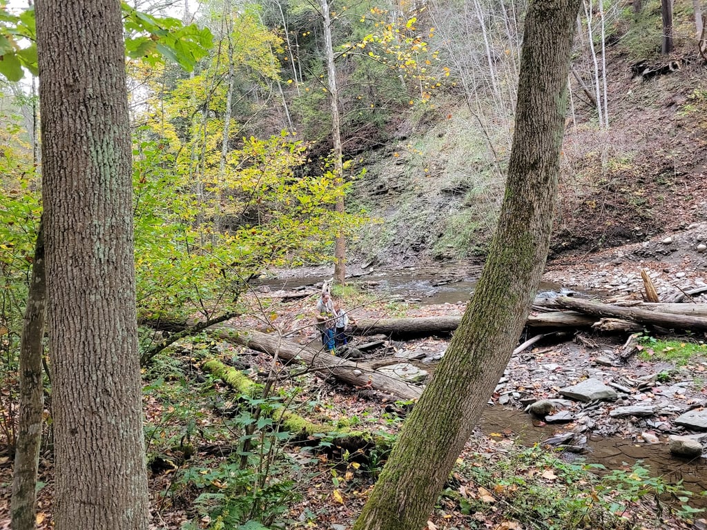 Grimes Glen Park