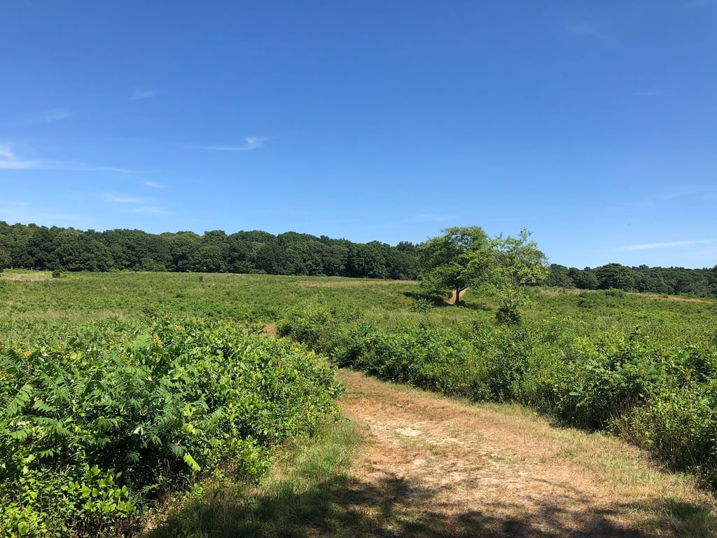 Mashomack Preserve