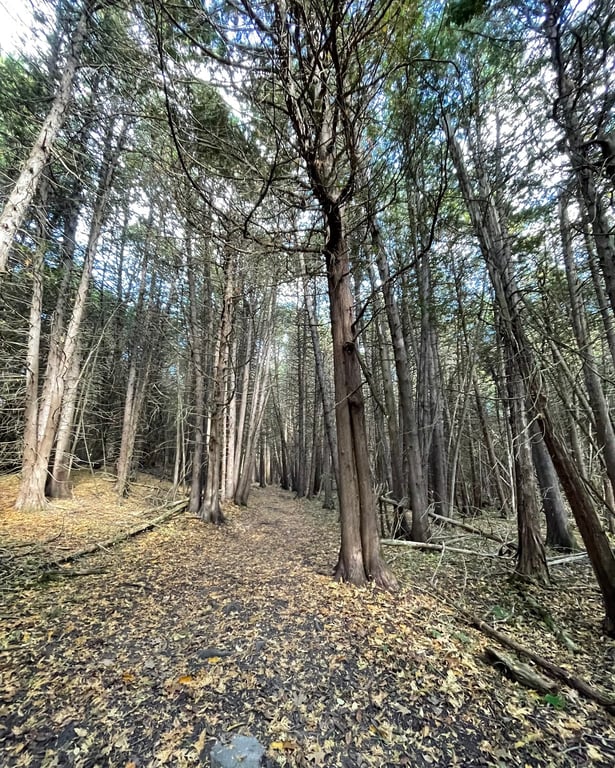 Point Au Roche State Park