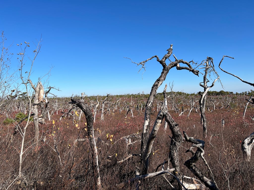 Sam’s Point Preserve