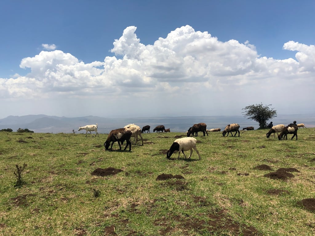 Ngong Hills