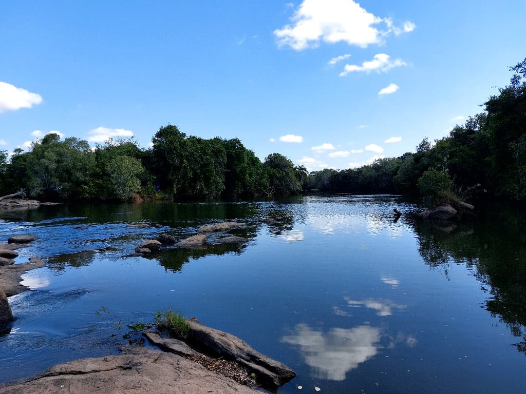 Niassa Game Reserve