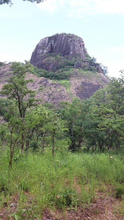 Niassa Game Reserve