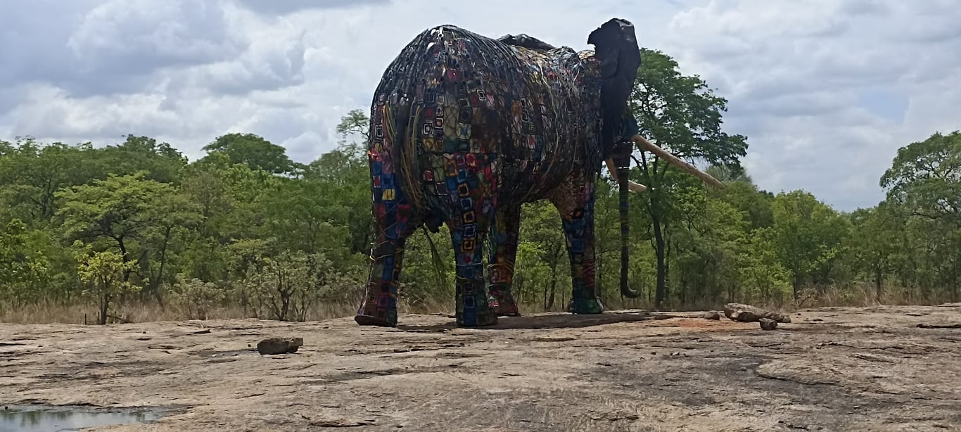 Niassa Game Reserve