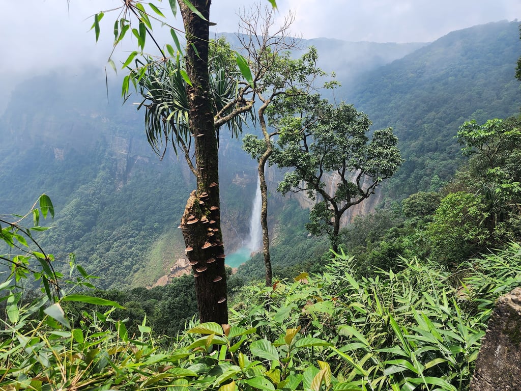 Nohkalikai Falls