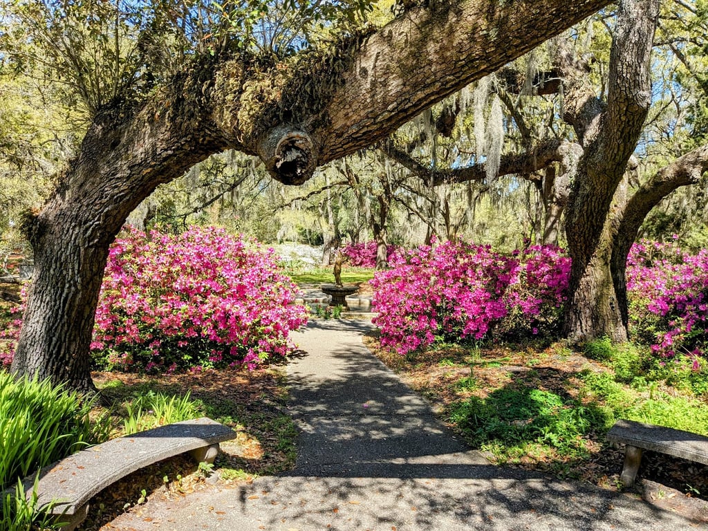 Airlie Gardens