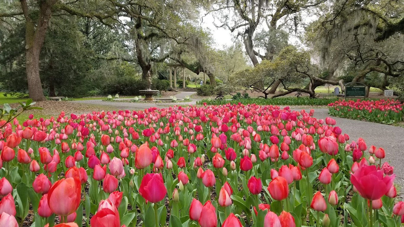 Airlie Gardens