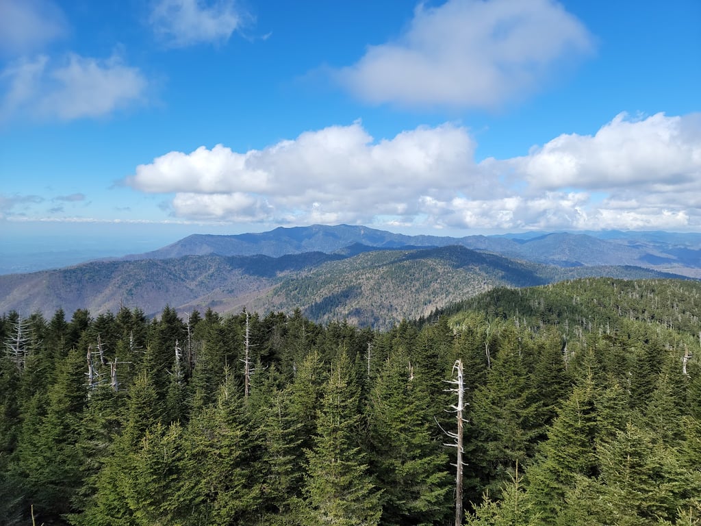 Clingmans Dome