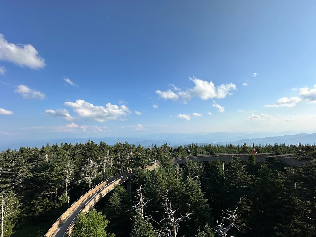 Clingmans Dome