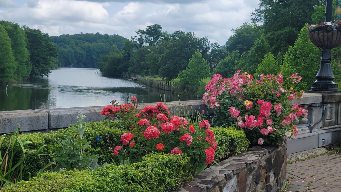 Flowering Bridge