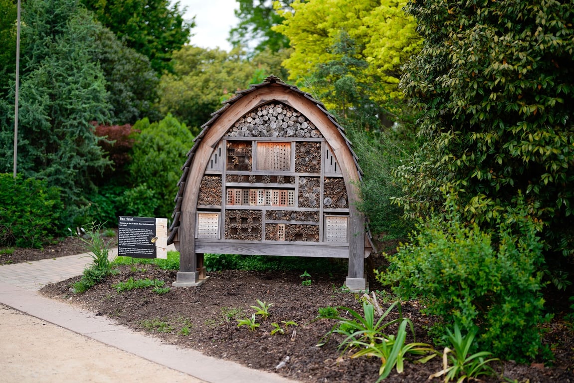 JC Raulston Arboretum