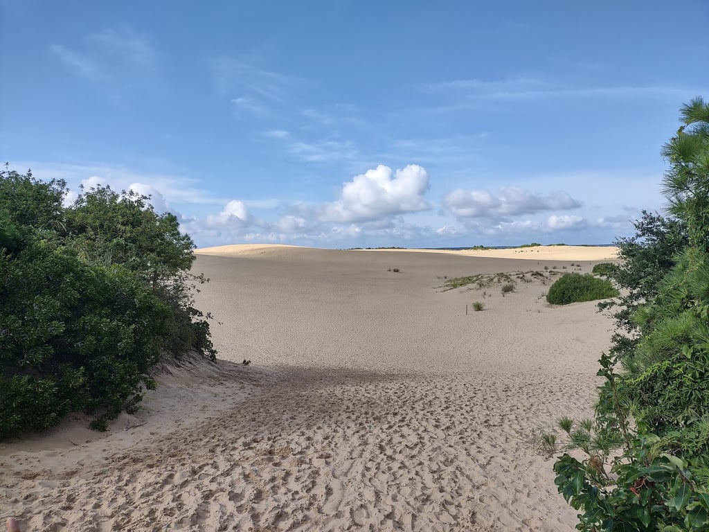 Jockey’s Ridge State Park