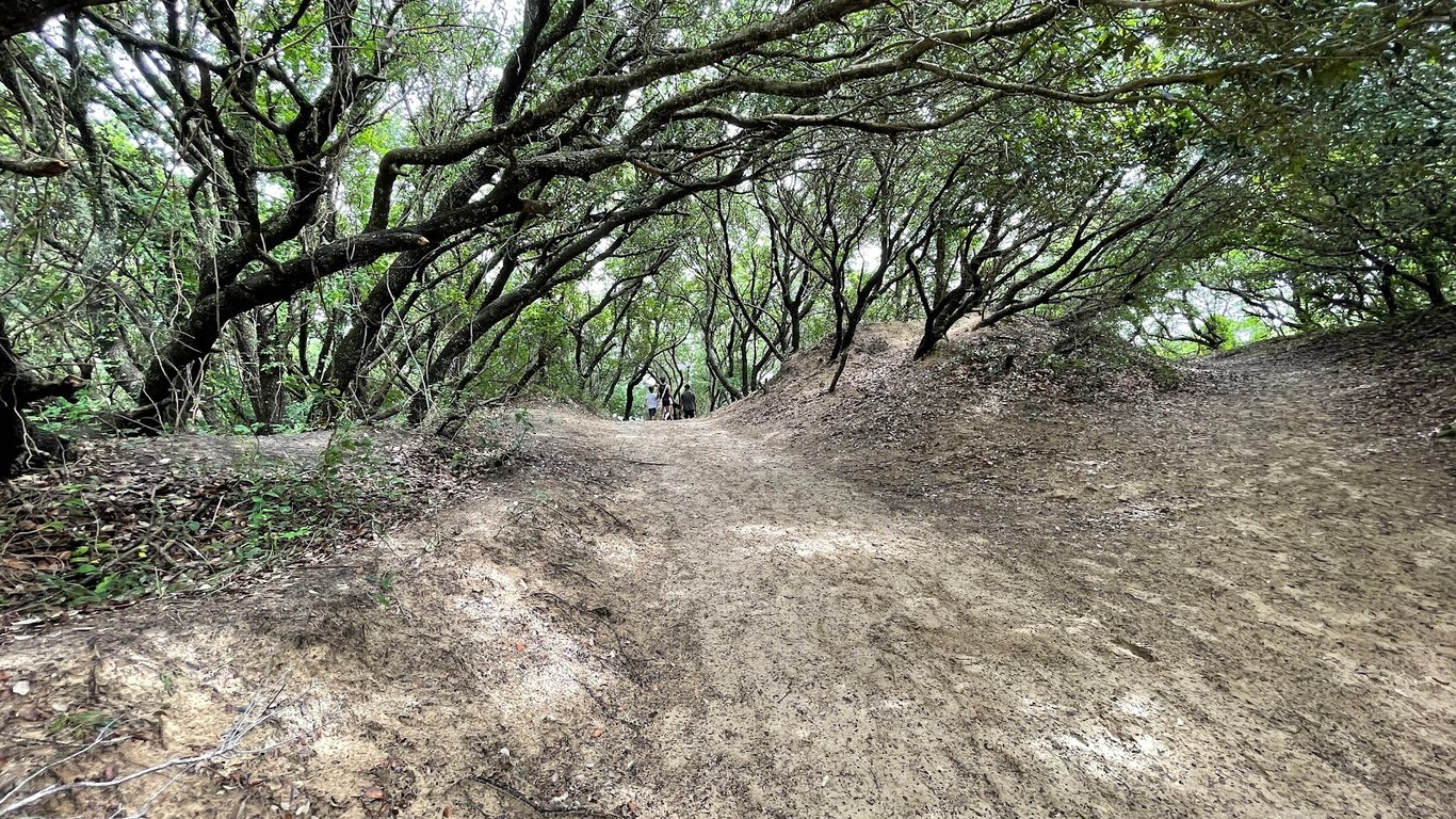 Jockey’s Ridge State Park