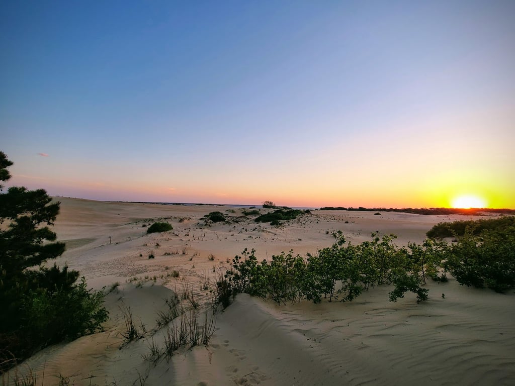 Jockey’s Ridge State Park