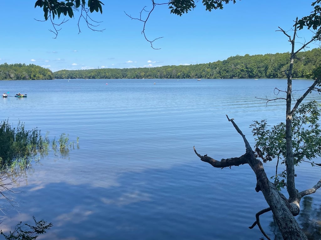 Latta Plantation Nature Preserve