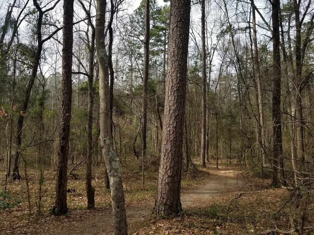 Latta Plantation Nature Preserve