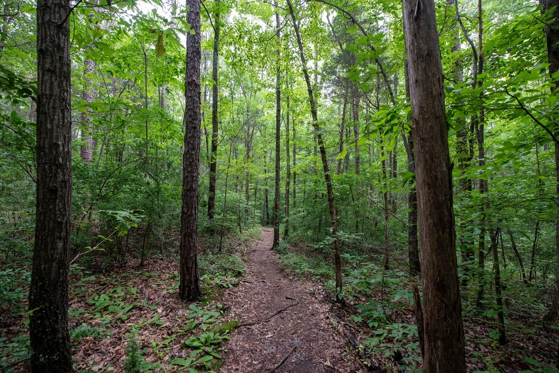 Latta Plantation Nature Preserve