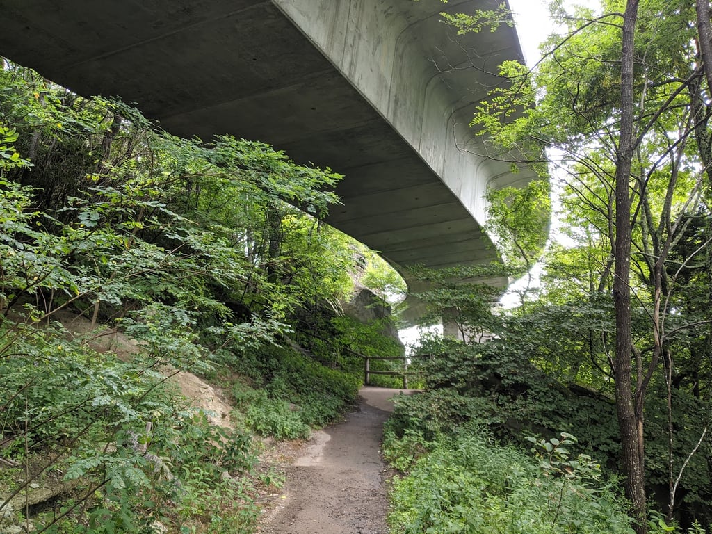 Linn Cove Viaduct