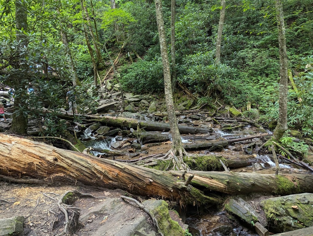 Mingo Falls