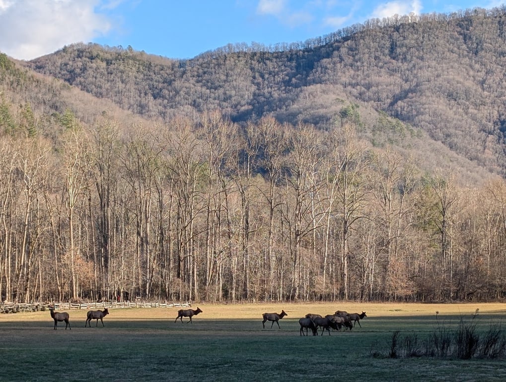 Oconaluftee Visitor Center