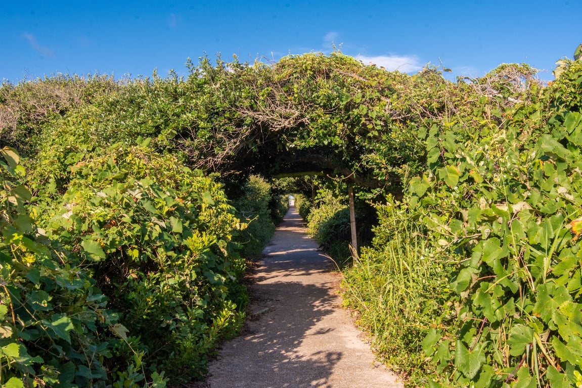Pea Island Wildlife Refuge