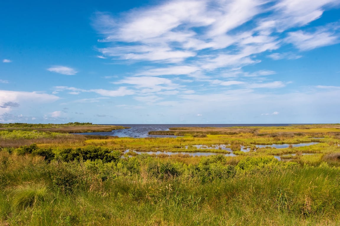 Pea Island Wildlife Refuge