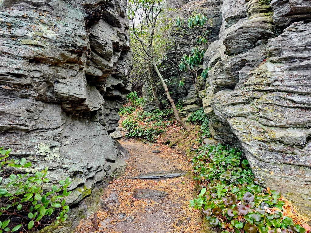 Table Rock Mountain