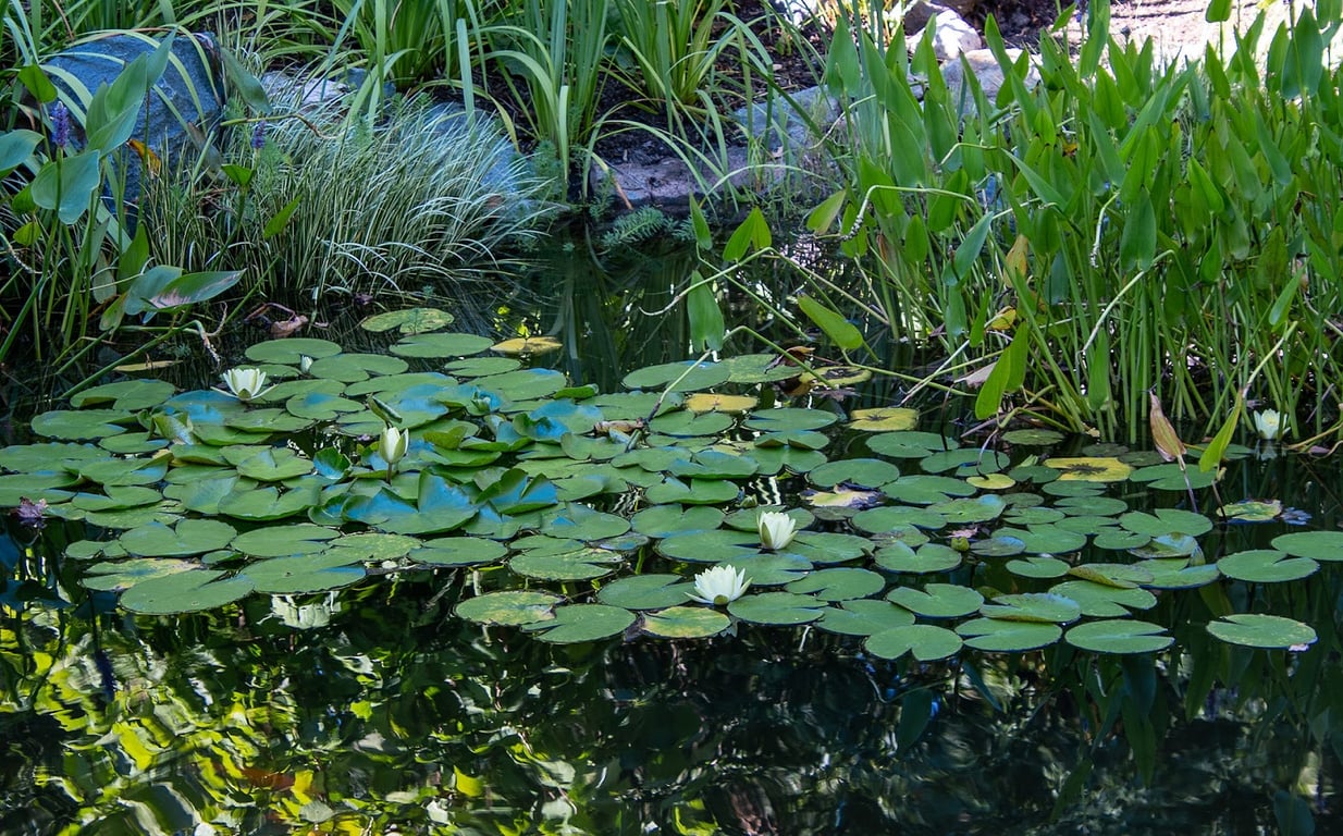 Tanger Bicentennial Garden