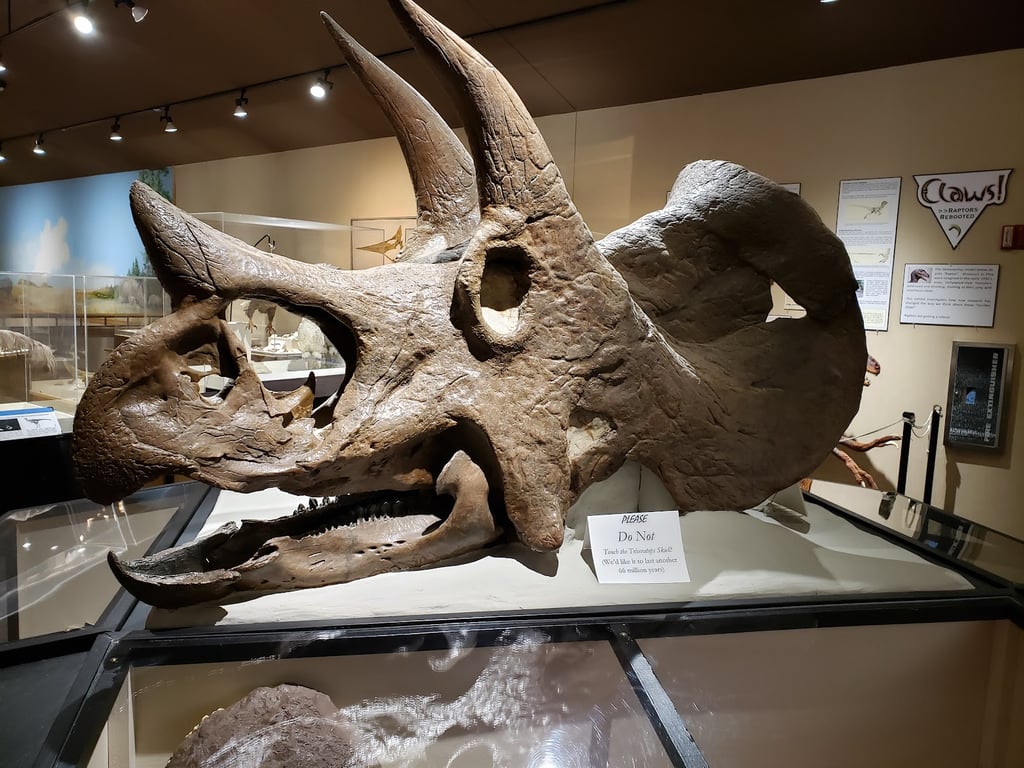 Badlands Dinosaur Museum Park