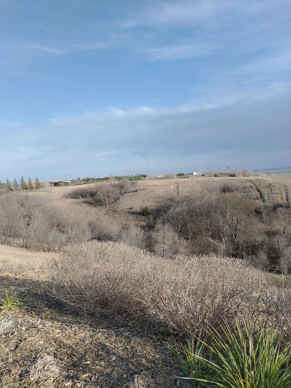 Chief Looking's Village