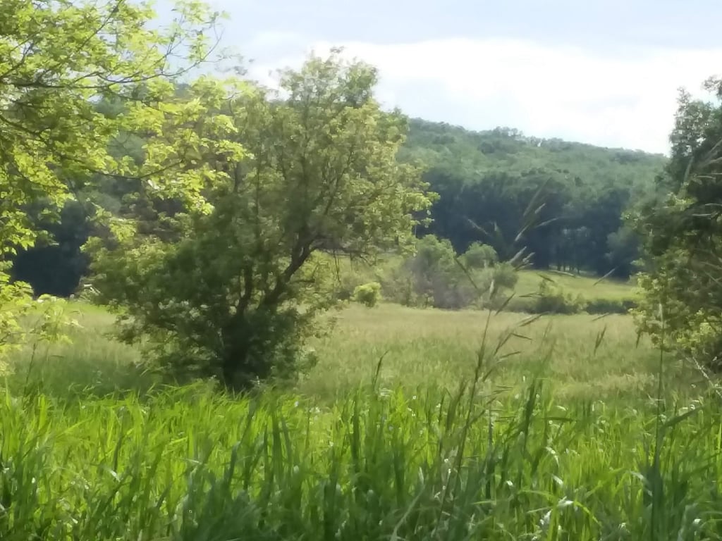 Fort Ransom State Park