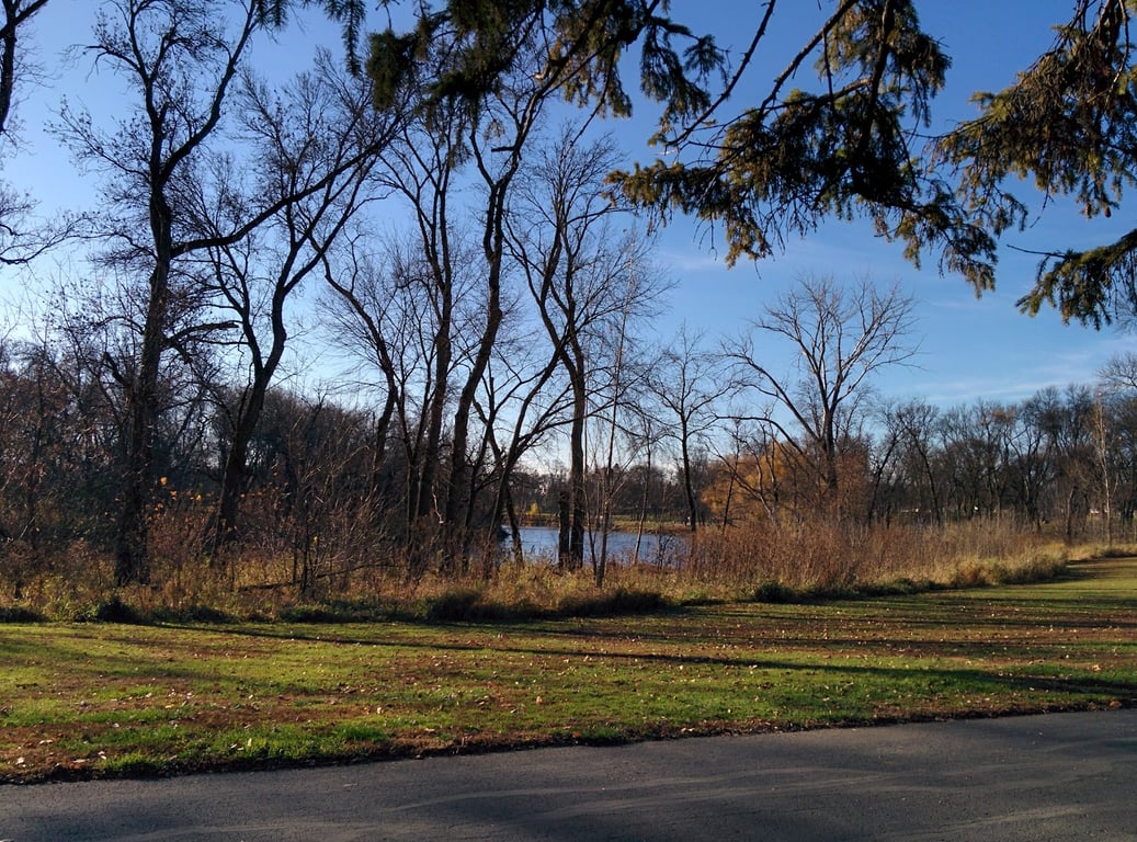Gooseberry Park